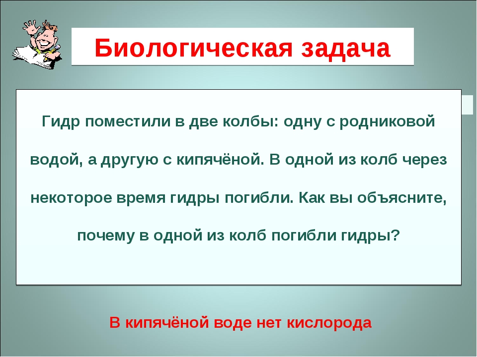 Ссылка на кракен даркнет