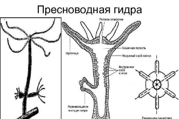 Кракен маркетплейс официальный сайт