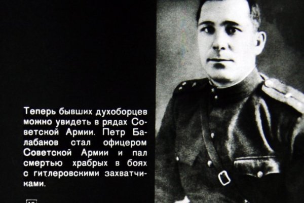 Полезные сайты тор